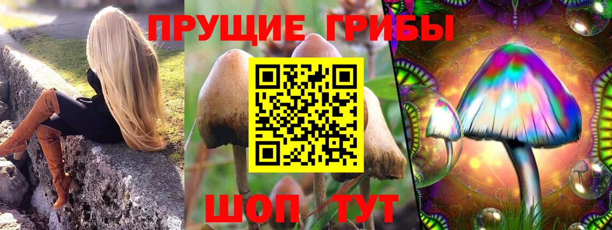 Псилоцибиновые грибы MAGIC MUSHROOMS  Вход с VPN  Красный Сулин 